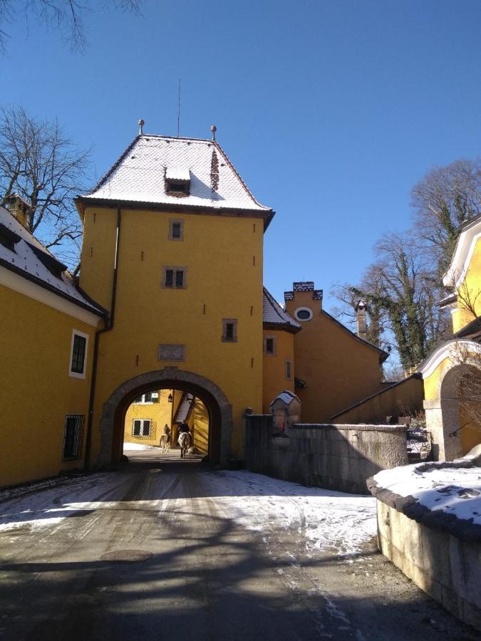 Gaestewohnung Schlossblick Grödig Esterno foto