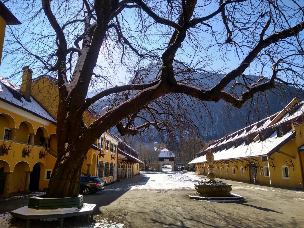 Gaestewohnung Schlossblick Grödig Esterno foto